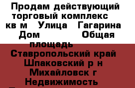 Продам действующий торговый комплекс 150кв.м › Улица ­ Гагарина › Дом ­ 170/13 › Общая площадь ­ 150 - Ставропольский край, Шпаковский р-н, Михайловск г. Недвижимость » Помещения продажа   